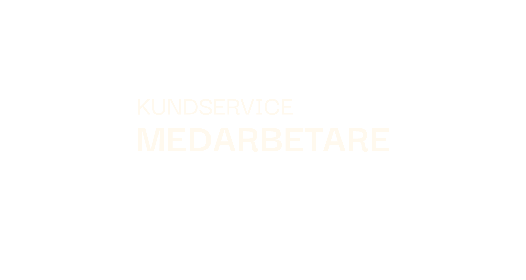 kundservicemedarbetare