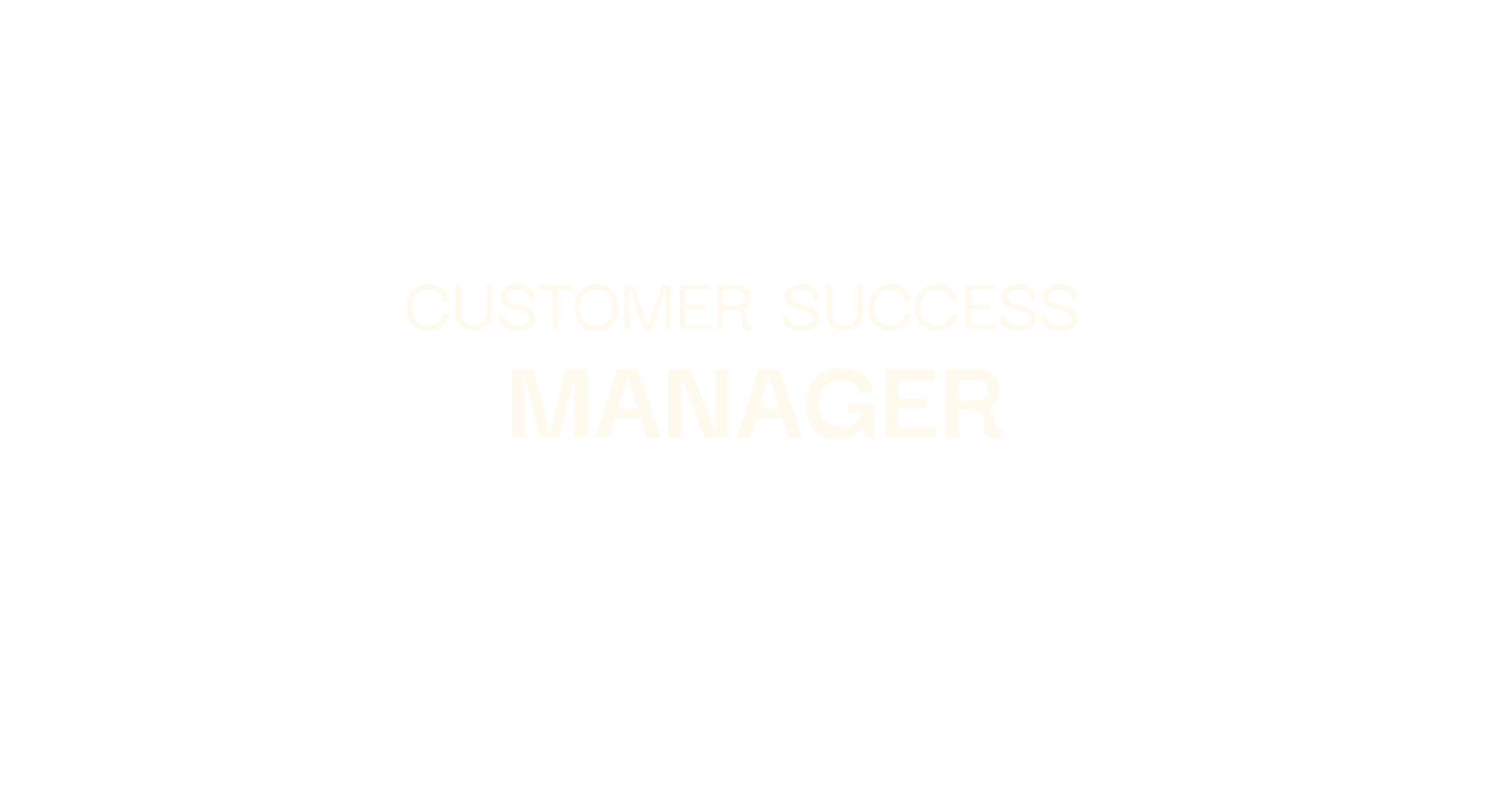 customer success manager/csm