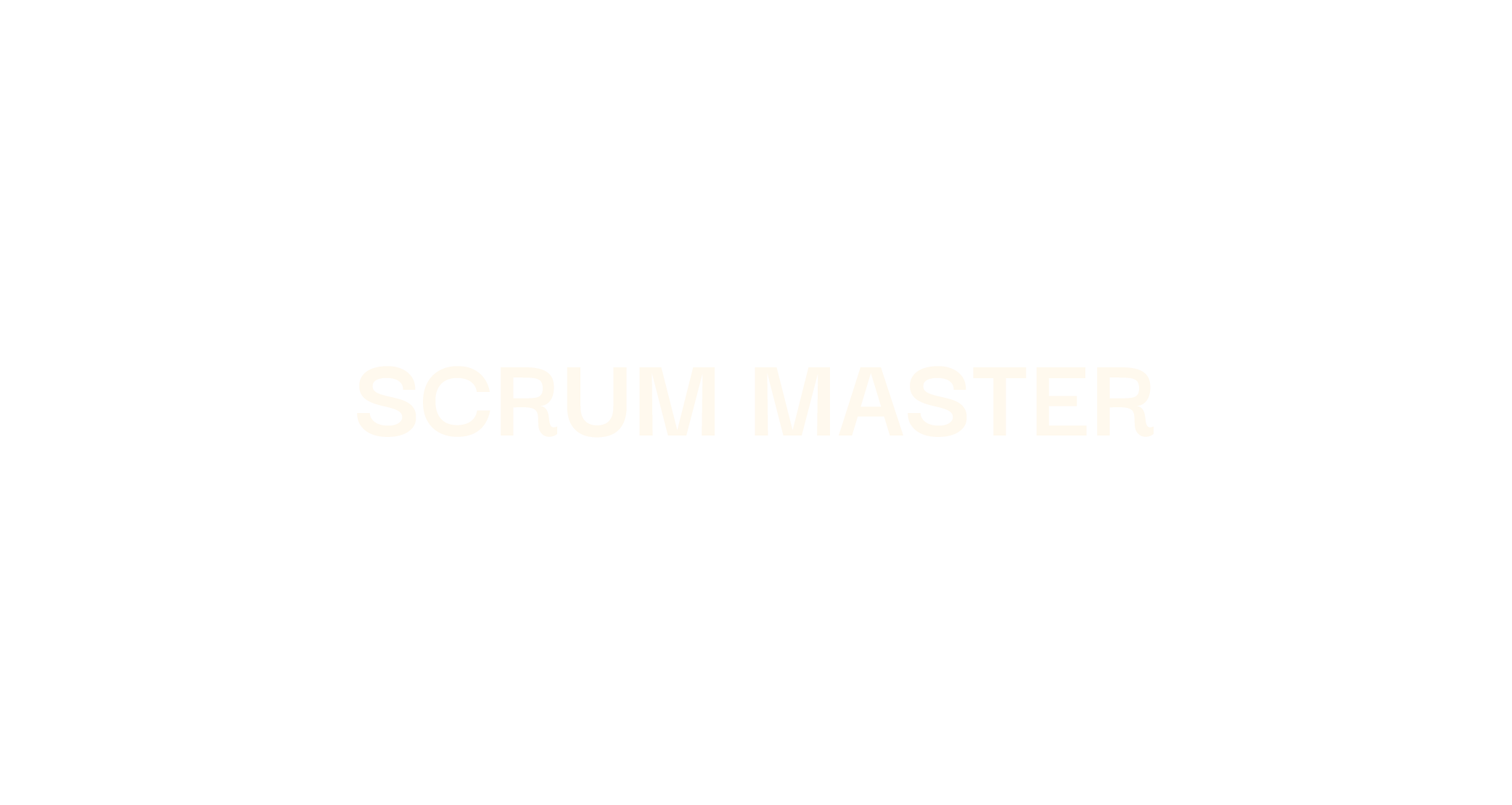 scrum master